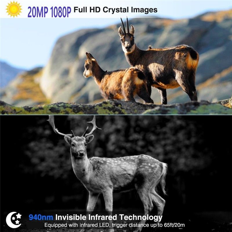 HC801M 20MP jaktkamera med nattvisjon og 42 infrarøde LED-er for dyresporing 2G MMS SMS SMTP kompatibel