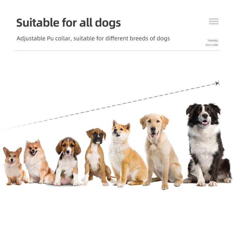 Oppdag 800m Hundetreningshalsbånd IP7 Vanntett med Fjernkontroll Justerbare Nivåer Perfekt for Hundetrening