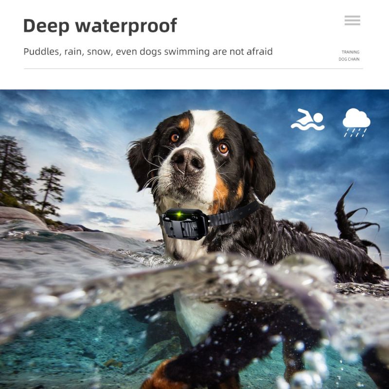 Oppdag 800m Hundetreningshalsbånd IP7 Vanntett med Fjernkontroll Justerbare Nivåer Perfekt for Hundetrening
