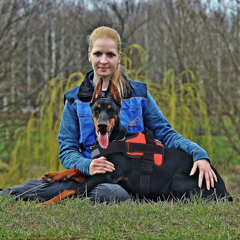 Justerbar reflekterende ikke-trekk hundesele for medium raser med håndtak perfekt for utendørs eventyr nå