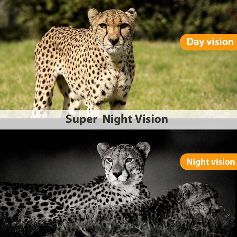 HC801M 20MP jaktkamera med nattvisjon og 42 infrarøde LED-er for dyresporing 2G MMS SMS SMTP kompatibel