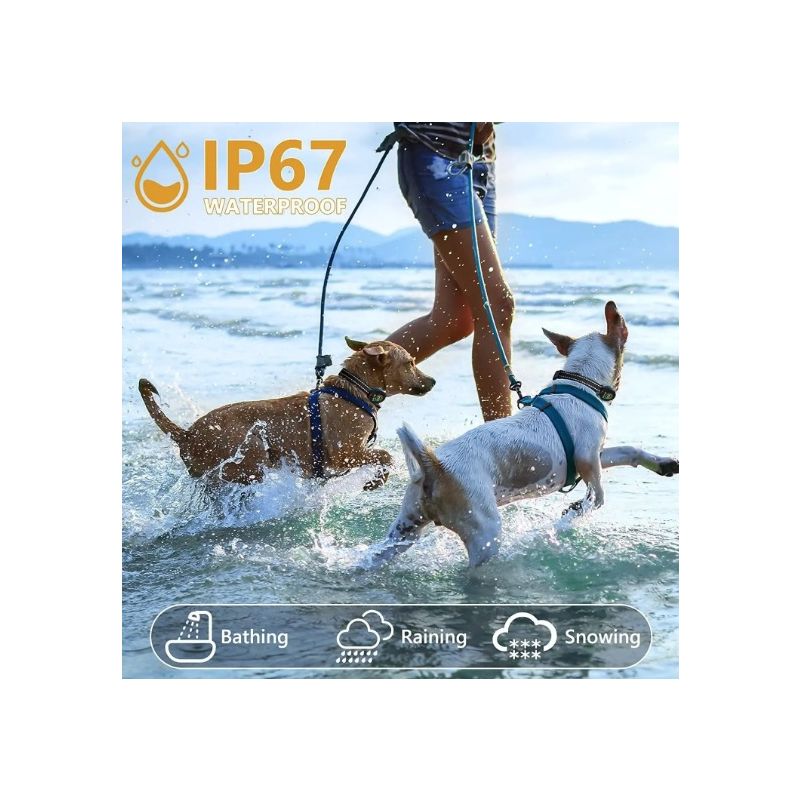 Oppladbar Hund Bjeff Kontroll med Intelligent Bjeffgjenkjenning Komfortabel Treningshalsbånd for Hunden din