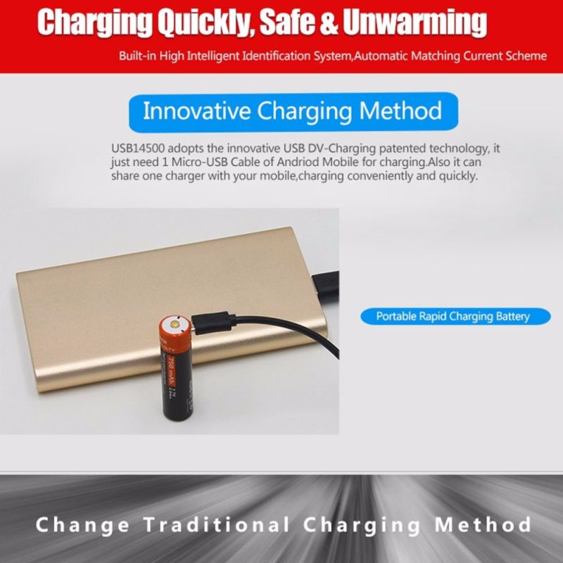 Doublepow 14500 750mAh Micro USB oppladbart litium-ion batteri miljøvennlig høykapasitetsbatteri camping