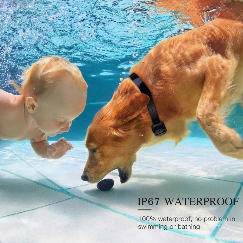 800m elektrisk hundetreningshalsbånd med fjernkontroll vanntett LCD-skjerm tre treningsmoduser alle størrelse