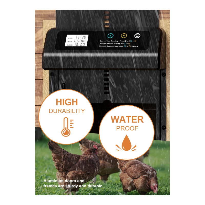 Automatisk Hønsegårdsdøråpner med Værbestandig Design og Timer for Enkel Hønsegårdsdrift Høykvalitets Aluminium