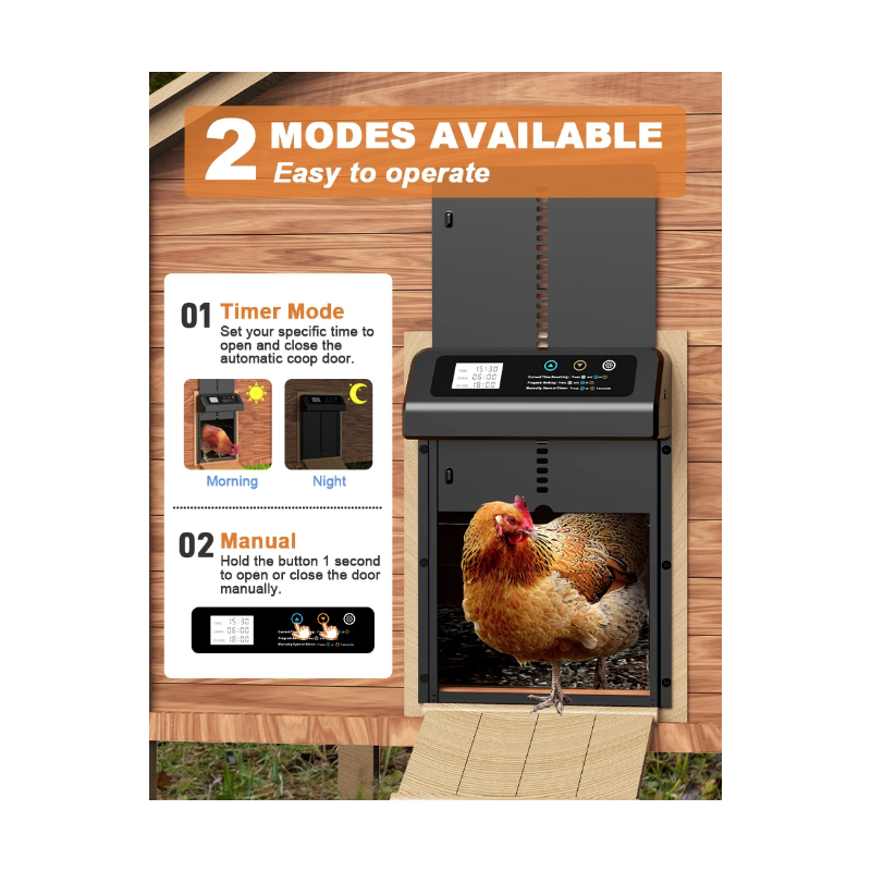 Automatisk Hønsegårdsdøråpner med Værbestandig Design og Timer for Enkel Hønsegårdsdrift Høykvalitets Aluminium