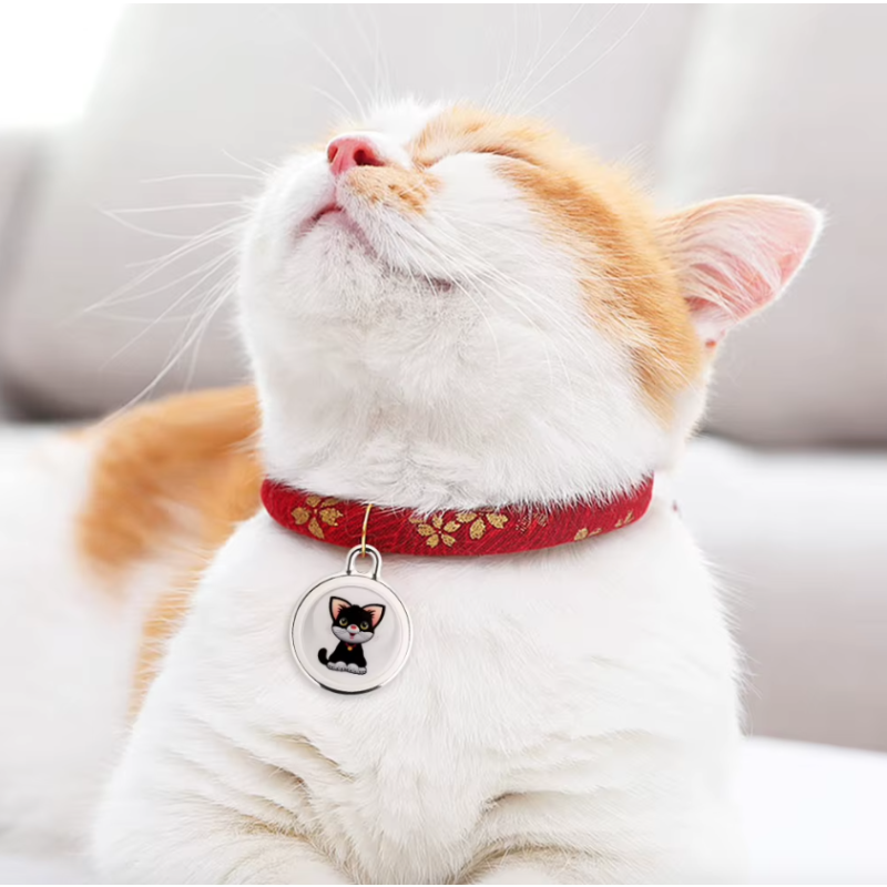 Hundesporing Airtag Hundehalsbånd med GPS-sporing for hunder Sanntidsposisjonering Kjæledyrutstyr  Innovative kjæledyrsteknologi