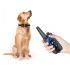 Oppdag 800m Hundetreningshalsbånd IP7 Vanntett med Fjernkontroll Justerbare Nivåer Perfekt for Hundetrening
