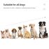 Oppdag 800m Hundetreningshalsbånd IP7 Vanntett med Fjernkontroll Justerbare Nivåer Perfekt for Hundetrening