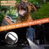 Bark Guard ultralyd bjeffedemper: Effektiv hundetrening med HD-skjerm & LED-lommelykt!