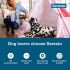 Seresto Large Dog Vet-anbefalt loppe- og flåttbehandling og forebyggingshalsbånd 8 måneders beskyttelse