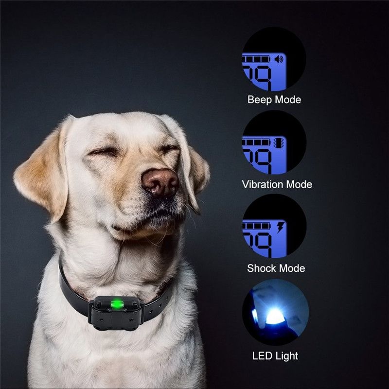 2019 NYTT Elektrisk Hundetreningshalsbånd med Fjernkontroll Justerbare Nivåer Vanntett Effektiv Hundetrening