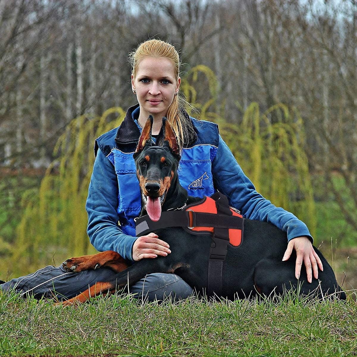 Trekkfri refleksvest for hund med håndtak og justerbar sele for mellomstore raser – komfortabelt turutstyr