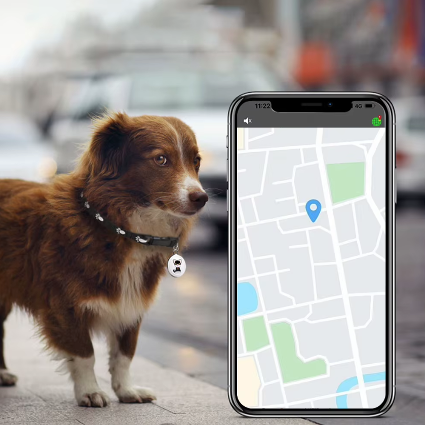 Innovativt hundesporer Airtag hundehalsbånd Sanntidsposisjon Bluetooth-sporing Dyreeiers essensielle