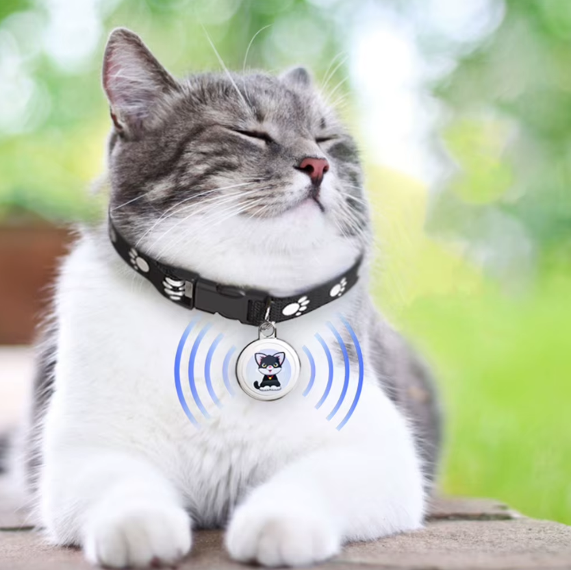 Innovativt hundesporer Airtag hundehalsbånd Sanntidsposisjon Bluetooth-sporing Dyreeiers essensielle