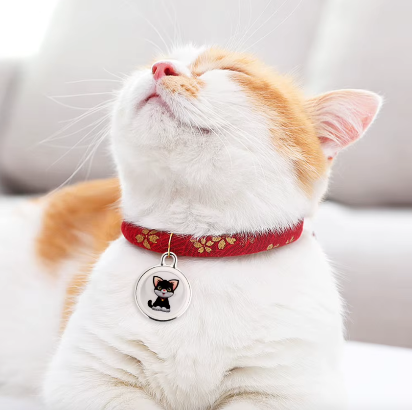 Innovativt hundesporer Airtag hundehalsbånd Sanntidsposisjon Bluetooth-sporing Dyreeiers essensielle