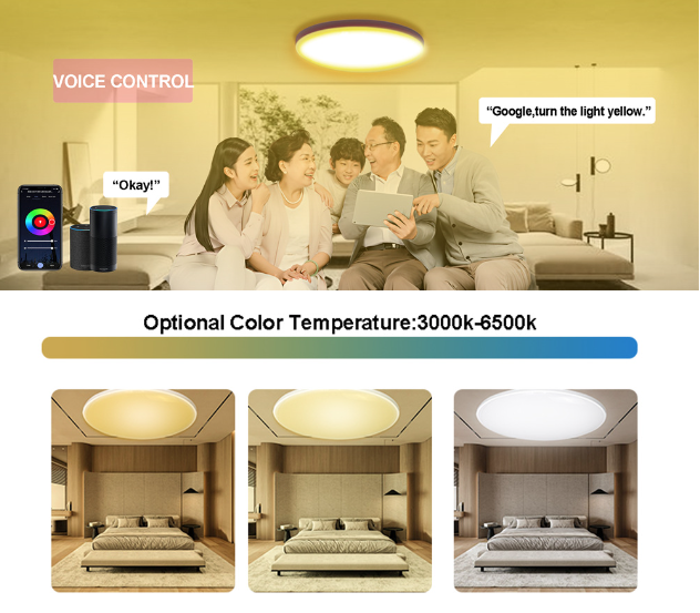 Tuya Zigbee Smart taklampe 24W RGBCW dynamisk belysning for hjemmet kompatibel med Alexa energieffektiv