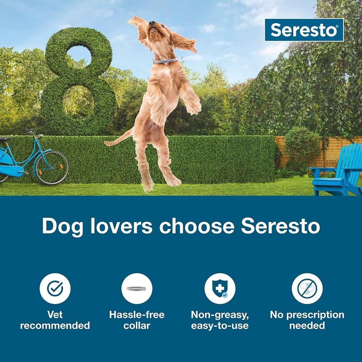 Seresto hund: Dreper lopper og flått i 8 måneder! Veterinæranbefalt halsbånd for store hunder.